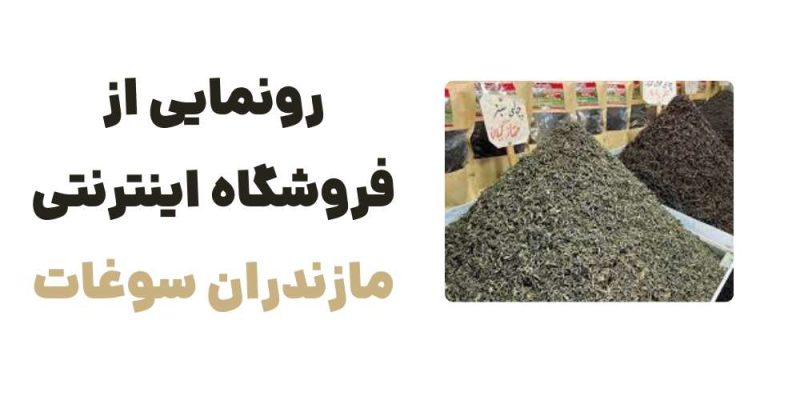 رونمایی از وبسایت مازندران سوغات؛ گنجینهای از محصولات محلی مازندران
