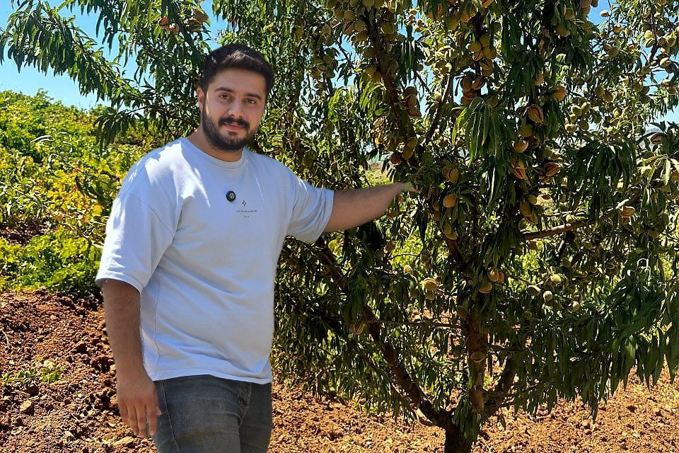 خرید نهال بادام